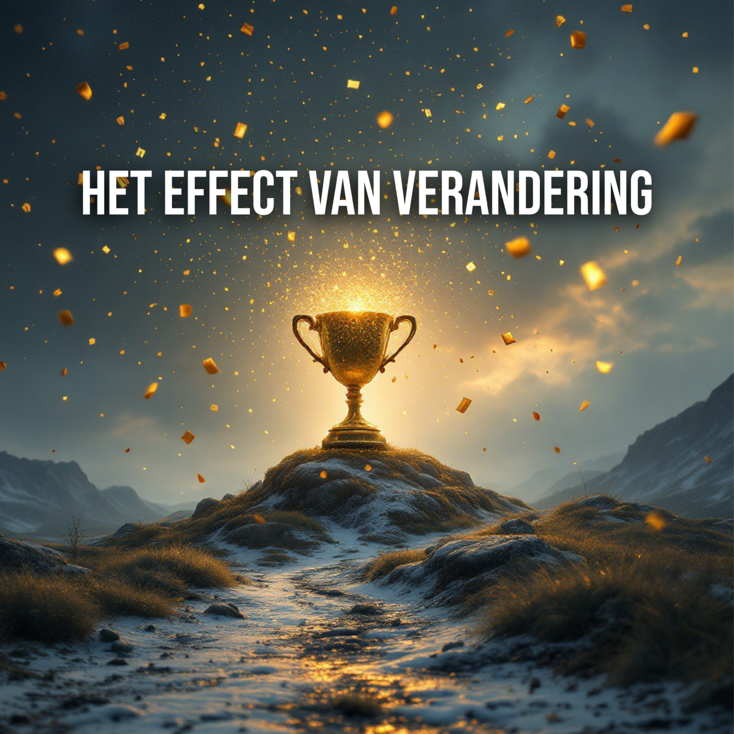 November Actie