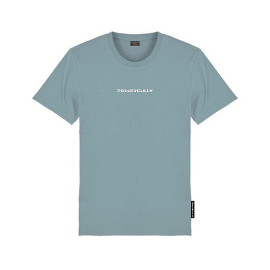 Embroidered Misty Blue