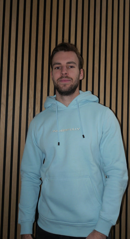 Embroidered Hoodie Light Blue
